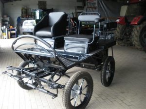 voitures-et-vehicules-voitures-d-attelage-voitures-apprentissage-attelage-fahrschulwagen-neu-acheter-en-56729-boos-1918318_1.jpg