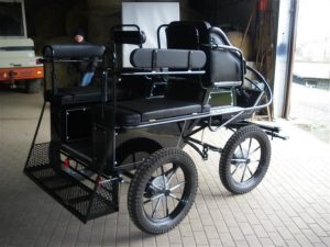 voitures-et-vehicules-voitures-d-attelage-voitures-apprentissage-attelage-fahrschulwagen-neu-acheter-en-56729-boos-1918318_4.jpg