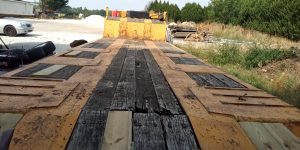 IMG-20220820-WA0017.jpg  