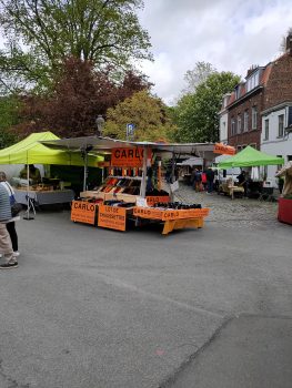 IMG20210516091731.jpg  